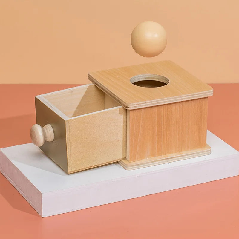 Montessori Wooden Object Permanence Box