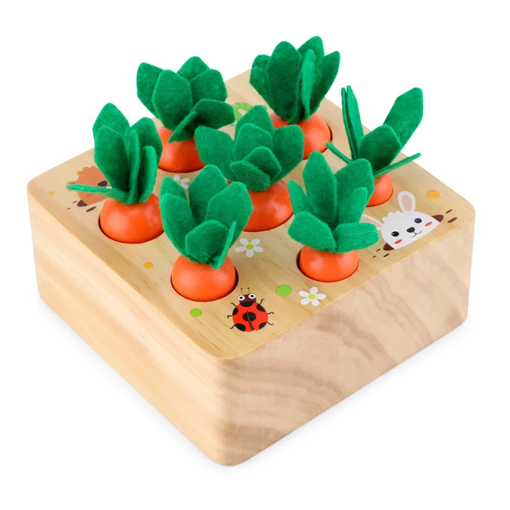 Montessori Wooden Shape Assortment